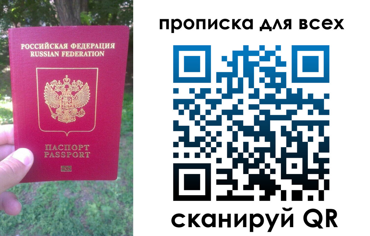 прописка поиск в Александровске